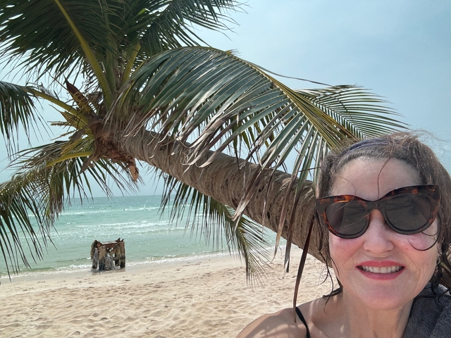       Person on a beach with a palm tree beside the sea.
  