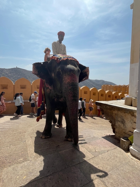       Decorated elephant standing in front of a yellow building.
  