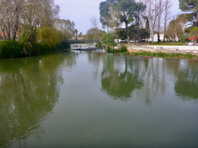       River with trees and a small waterfall in the background.
  