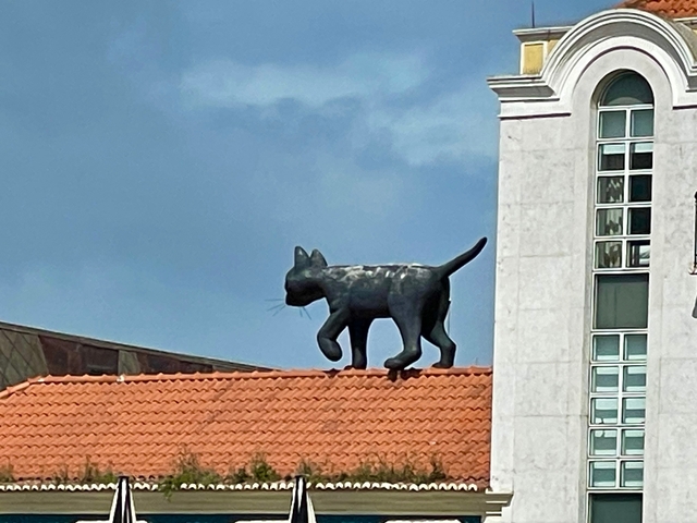       Statue of a black cat on a red-tiled roof with blue sky.
  