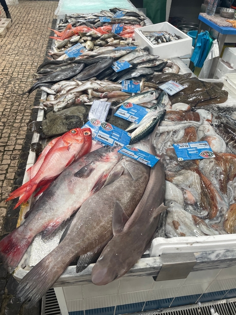 Fresh seafood on display at a market stall.