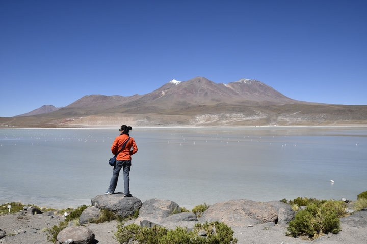 Hiker overlooking a serene mountain lake with flamingos.