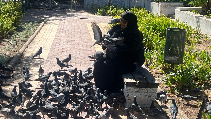 Woman in a black outfit sitting with pigeons on a bench.