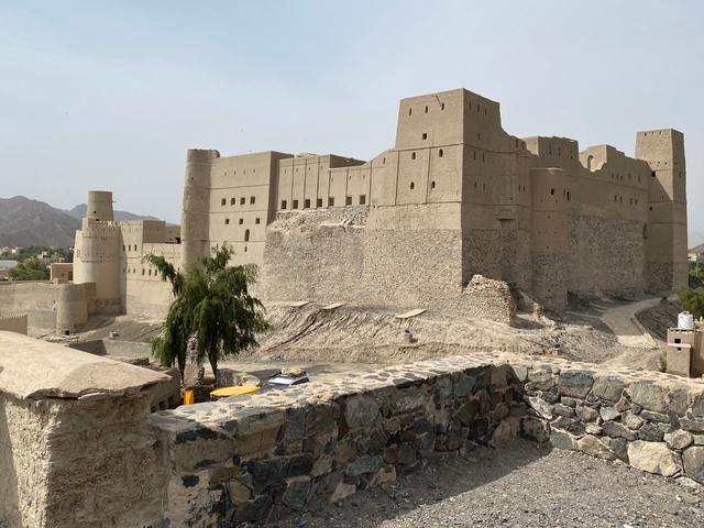 Large historic castle with mountain backdrop.