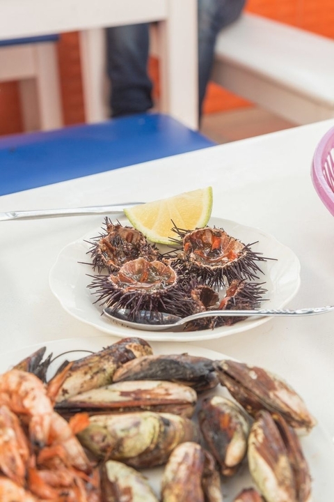 Photo d'avis client sur Circuit de 9 jours : Découverte du Sahara et des villes impériales 