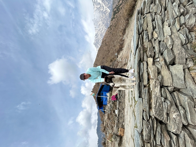 Person with a dog in a mountainous landscape.