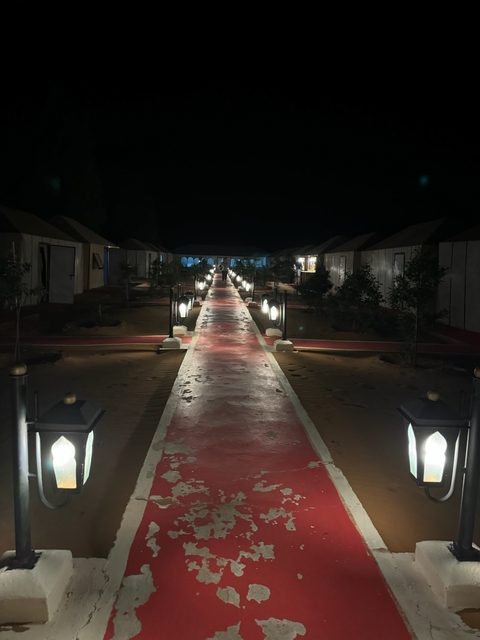 Outdoor walkway lined with lights at night.