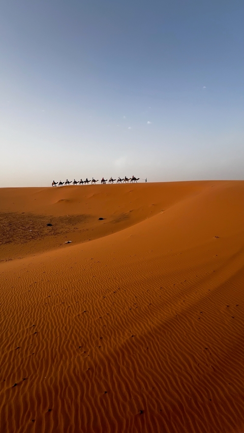       Camel caravan on sand dunes with blue sky.
  