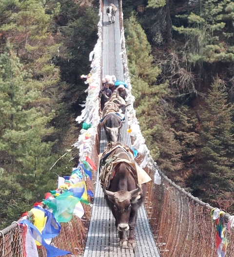 People crossing a hanging bridge with prayer flags.