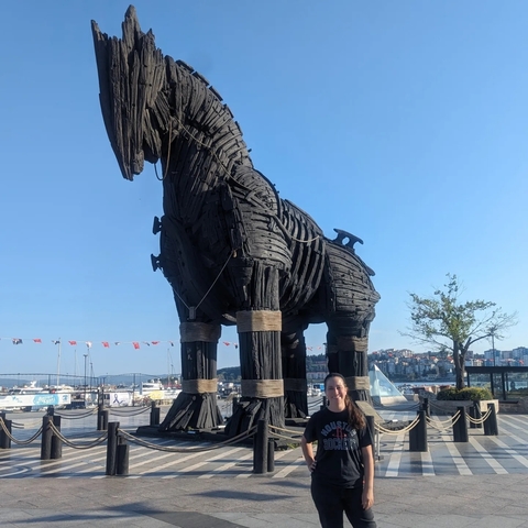       A person standing next to a large wooden horse statue, with flags in the background.
  