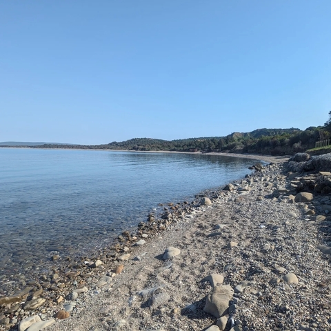 Rocky beach shoreline with calm water and a clear blue sky.