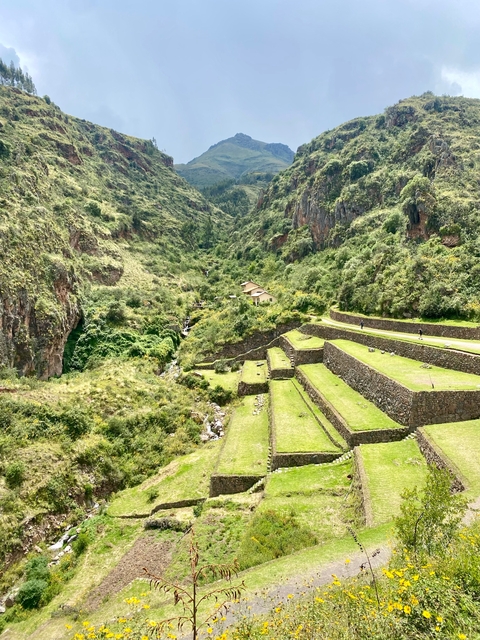 Terraced landscape with green fields and hills.