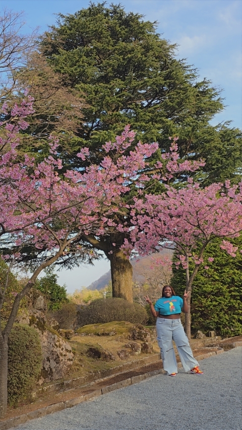 Itinerary Image 7