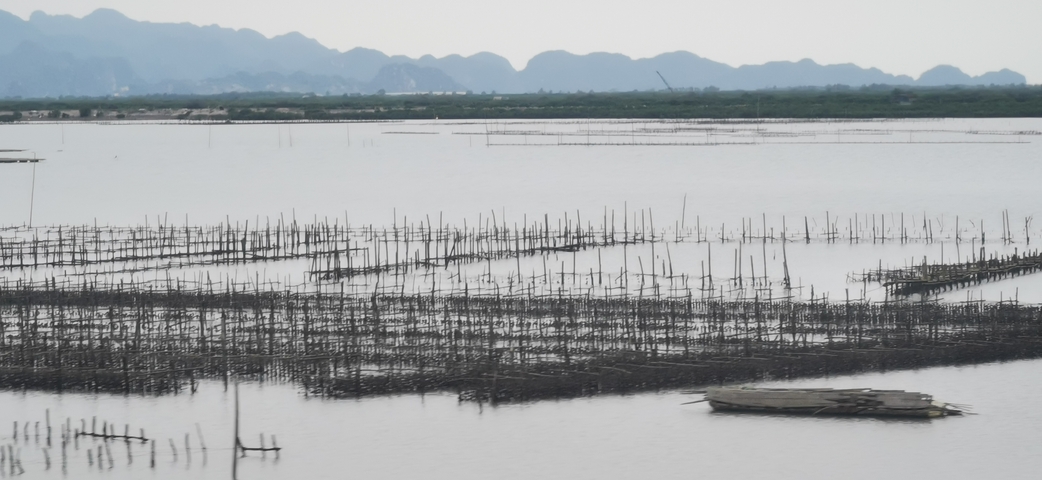       Waterfront with fishing structures and distant mountains.
  