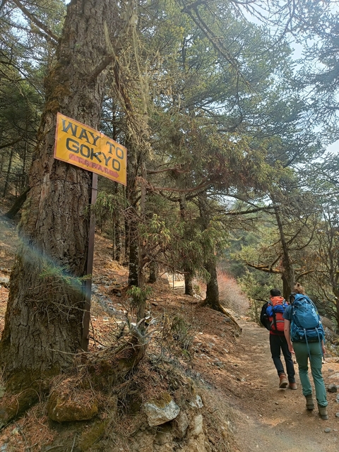       Hikers on a trail in a forest with a sign leading to Gokyo.
  