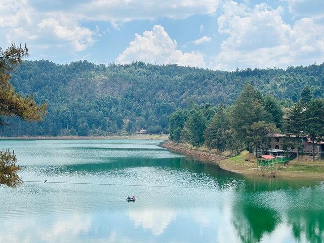       Scenic view of a lake surrounded by pine trees.
  