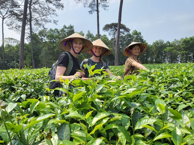 Three people wearing traditional hats in a green field.