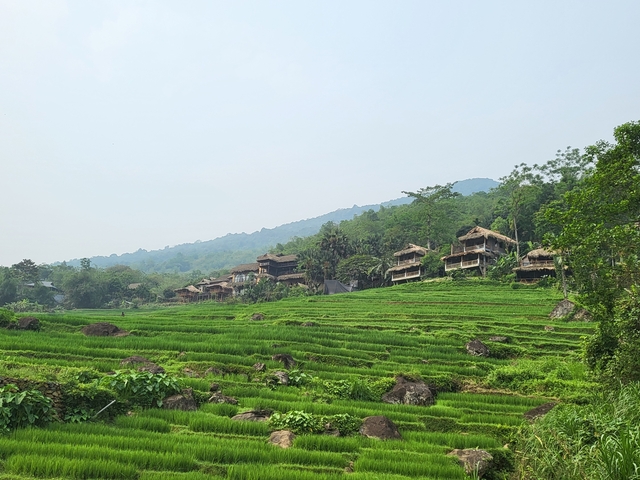 Wooden huts on a hillside with rice terraces.