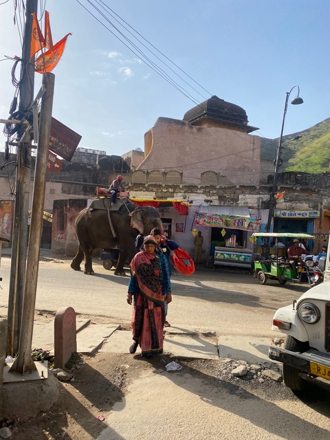 Street in India with an elephant and people.