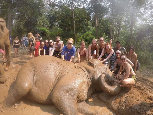 Group of people playing in the mud with an elephant.