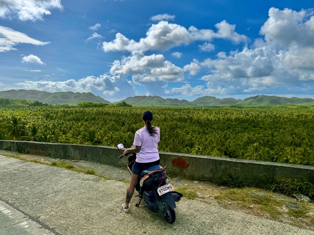       Person on a scooter overlooking a vast landscape with palm trees.
  