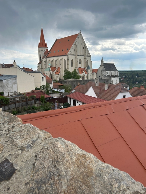 Rooftop view of a town with a large church in the background.