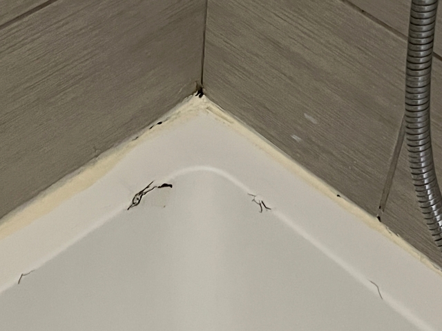 Close-up of cracked caulking in a shower corner.
