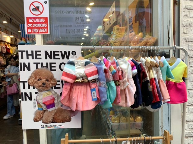Display of colorful clothing for pets at a shop.