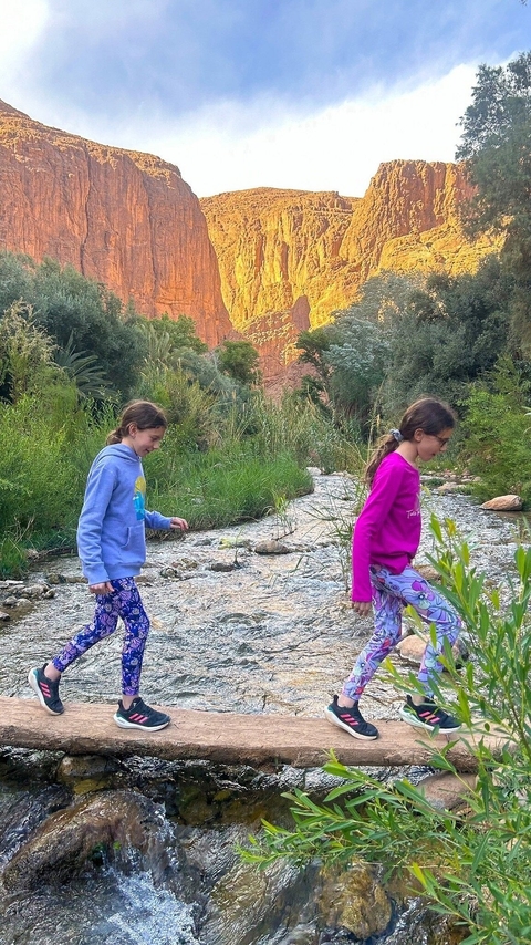       Two children walking in a shallow river with vegetation around.
  