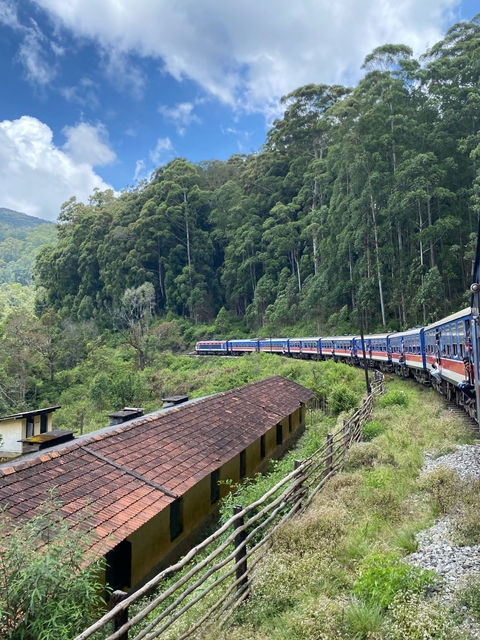       Train traveling through lush green landscape and forests.
  