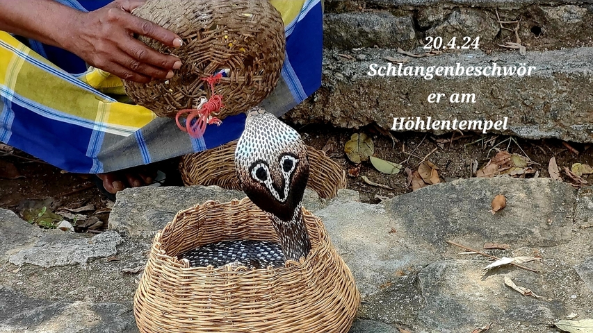       Snake charmer with a patterned snake in a basket.
  