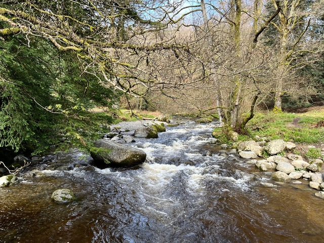 A swiftly flowing stream under a canopy of trees.