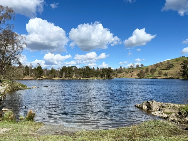       A serene lake with a background of trees and a bright blue sky with clouds.
  