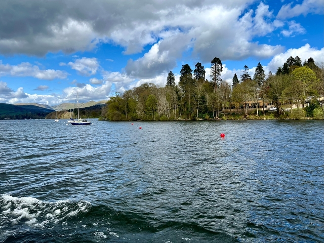 A view of a lake with sailboats and wooded shoreline.