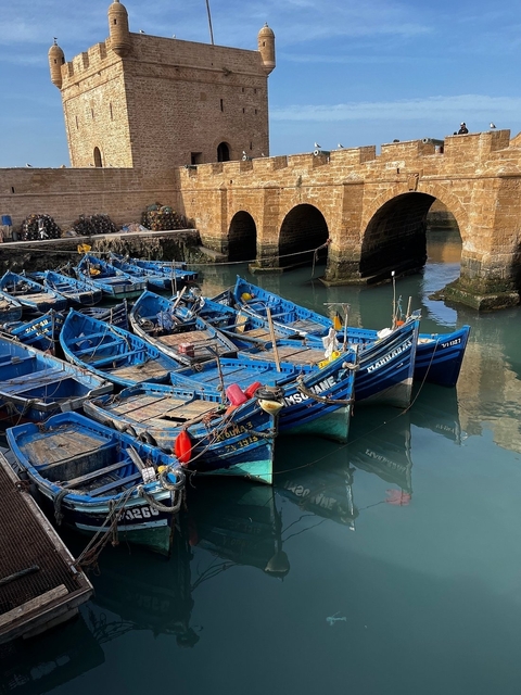       Blue fishing boats docked in a harbor beneath an old bridge.
  