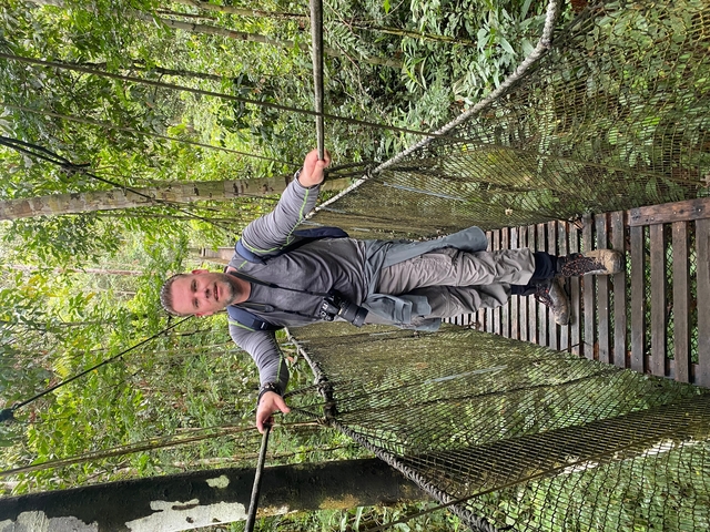 Man crossing a hanging bridge in a tropical forest.