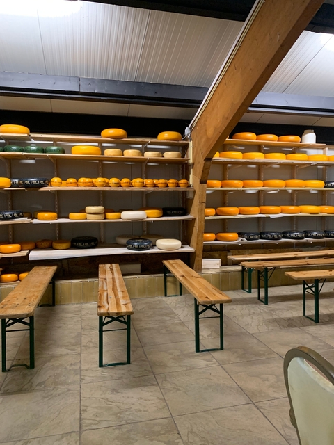 Cheese wheels displayed on shelves in a store.