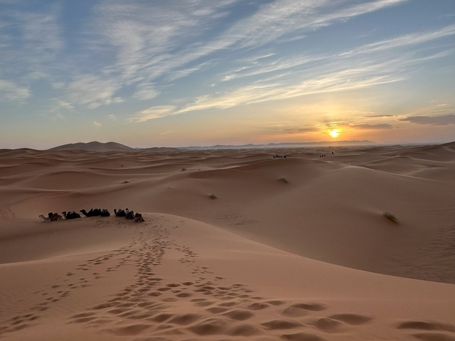Expansive desert dunes with setting sun and group of camels.