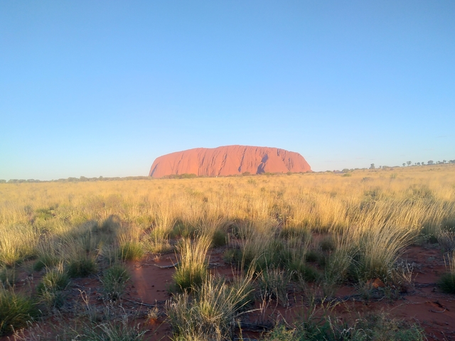 Uluru rock formation in Australia under clear skies.
