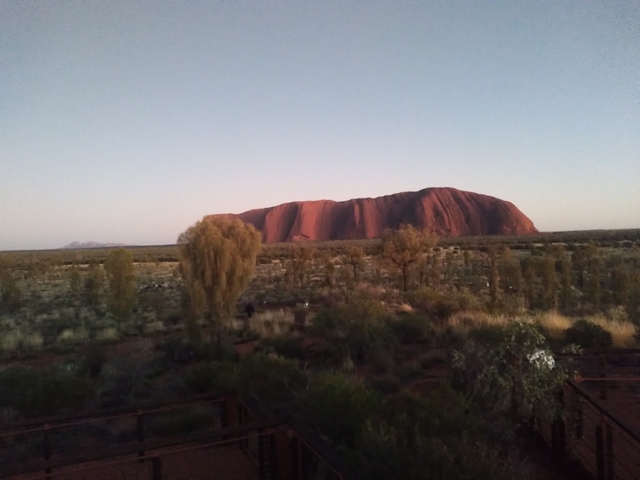       View of Uluru with trees in the foreground.
  