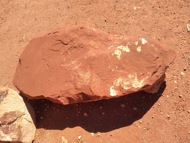       Large brown rock lying on the ground.
  