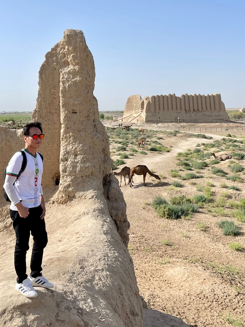 Person standing near ruins with camels grazing nearby.