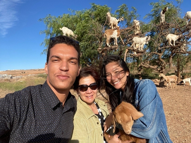 Group of people posing near goats in a tree.