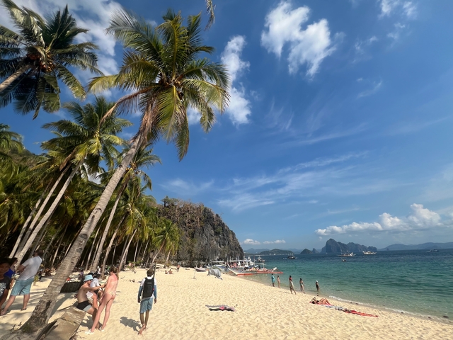       Sandy beach with palm trees and people enjoying the sun.
  