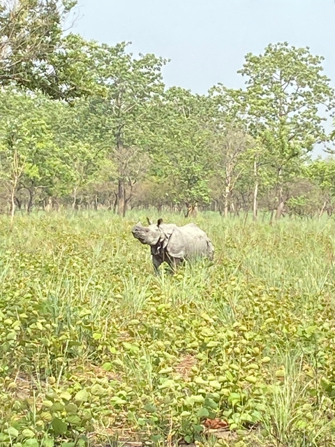 Itinerary Image 8