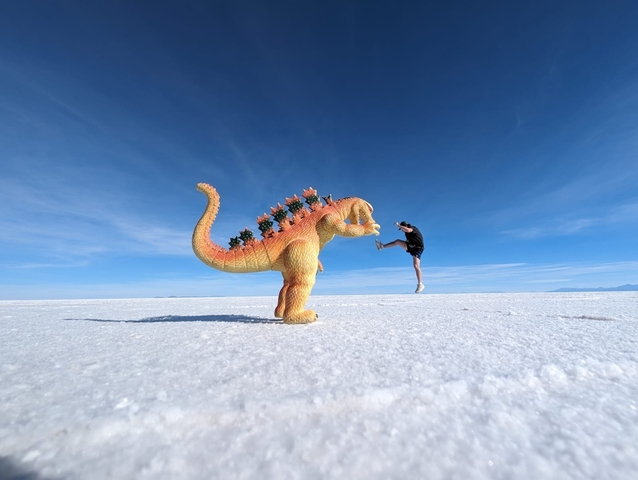       Person creatively posed with a large toy dinosaur on a salt flat.
  