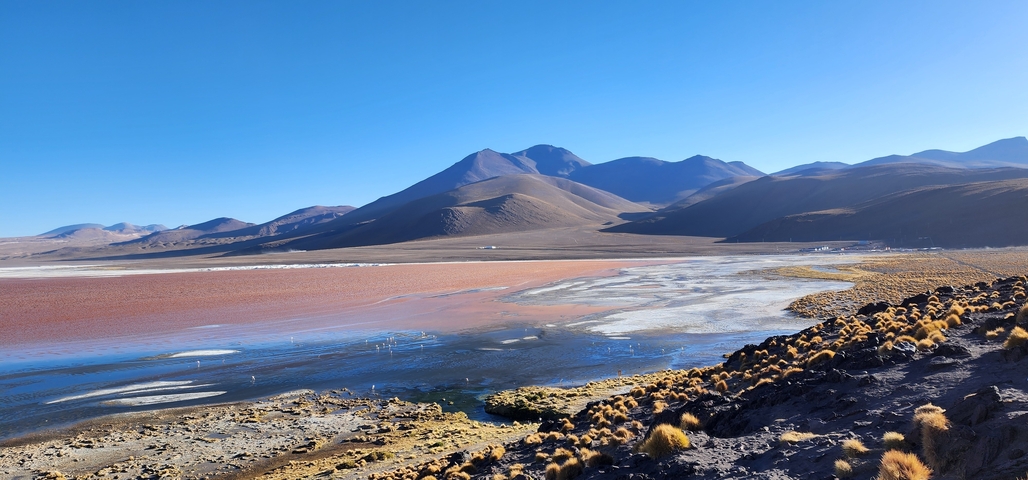       High-altitude desert with a pink lagoon and surrounding mountains.
  