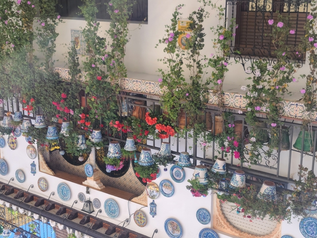 Wall decorated with plants and ceramic pots.
