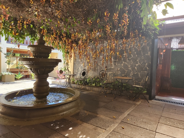       Serene courtyard with a fountain and hanging plants.
  
