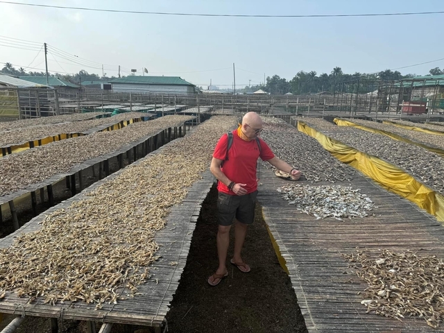 Man examining dried fish on racks in an outdoor setting.